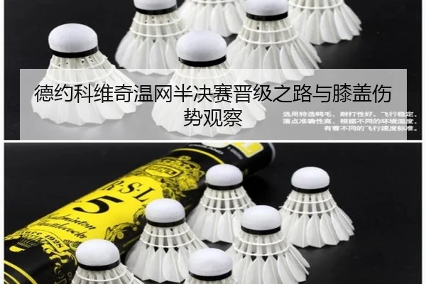 德约科维奇温网半决赛晋级之路与膝盖伤势观察