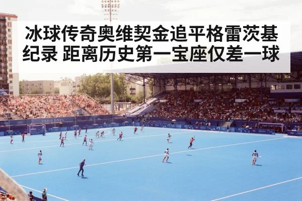 hockey stadium crowd
